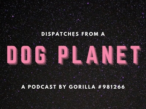 Ad: Dispatches From a Dog Planet